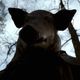 Image for article titled What Does It Take To Not Be Hanged As A Witch On Salem?